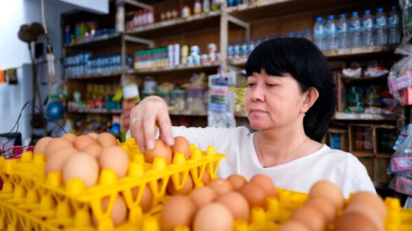Apa saja Bisnis Kecil Yang Menguntungkan