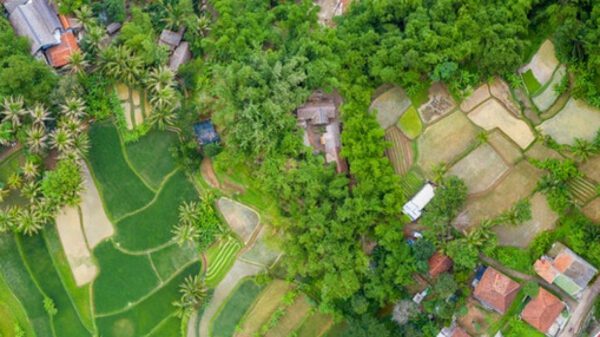 Contoh Usaha Menguntungkan Di Desa