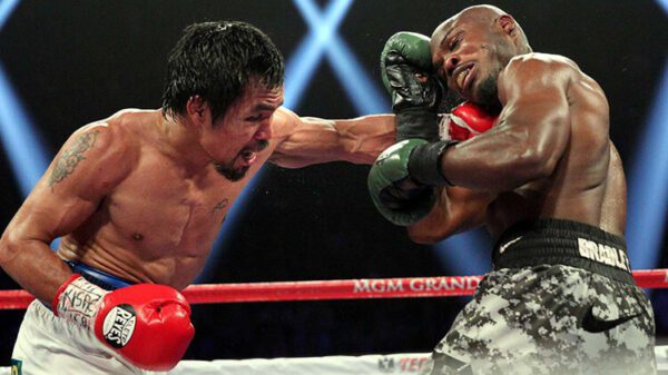 apa saja teknik dalam tinju