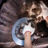 Wajib-Cek-Kampas-Rem-Mobil-Setiap-Jarak-Tempuh-Segini.jpg