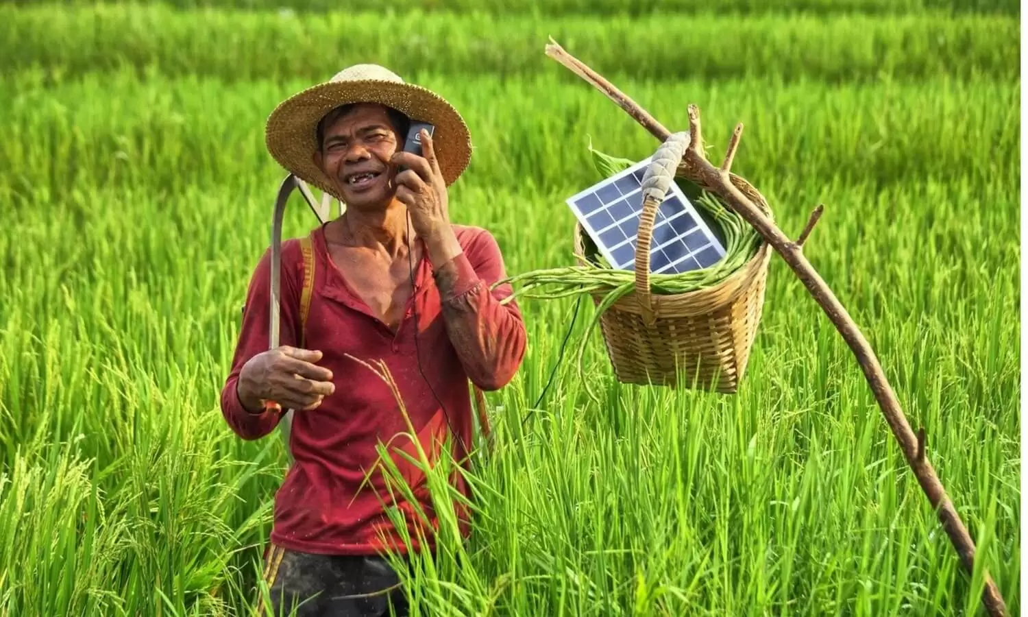 Bisnis apa saja yang menguntungkan di desa