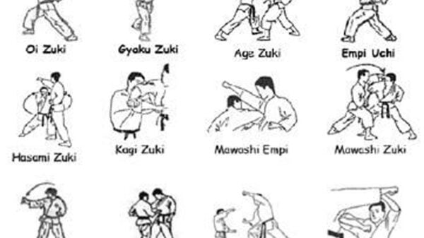 apa saja teknik dalam karate